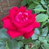 missijay23